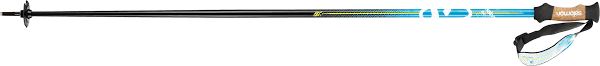 Salomon Bbr 08 Skistok