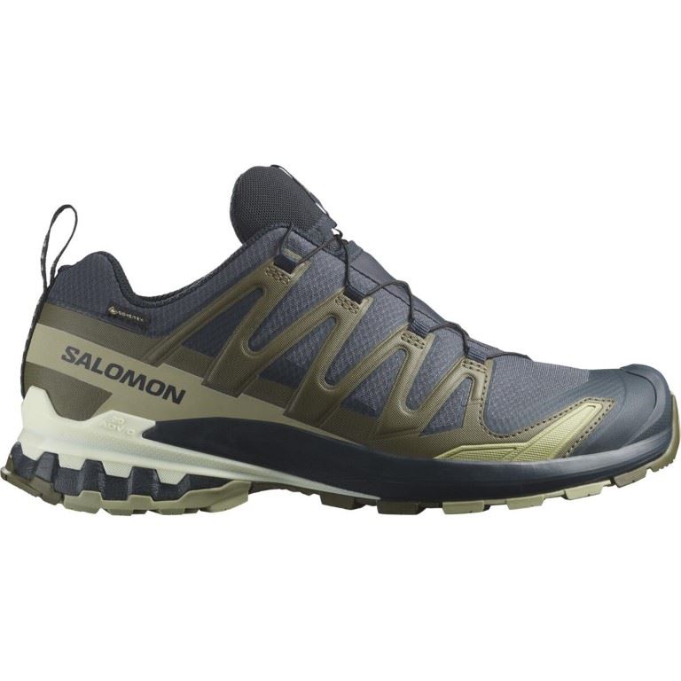 Salomon XA PRO 3D V9 GORE-TEX Lage Wandelschoen Heren India Ink/Olive Night/Aloe Wash 12