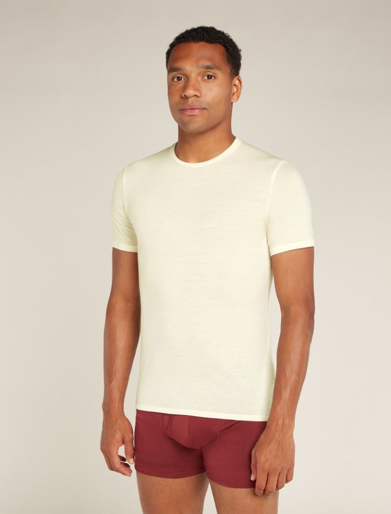 Icebreaker Merino 150 Anatomica Ss Crewe Thermoshirt Heren Undyed L