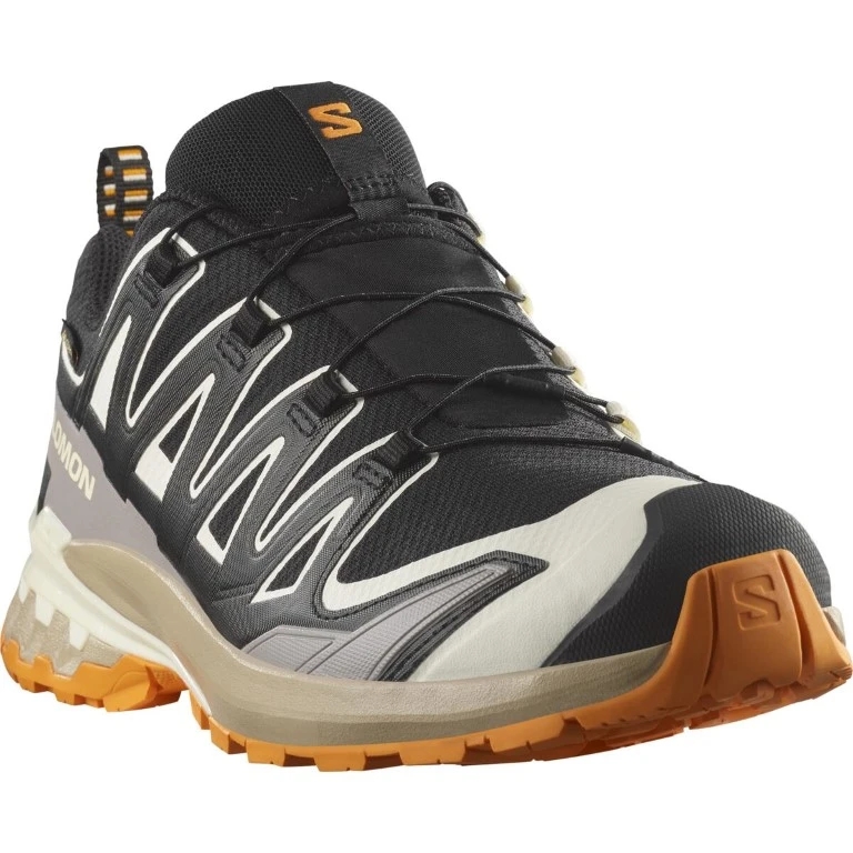 Salomon Xa Pro 3D V9 Gtx Lage Wandelschoen Heren Black/Vanilla Ice/Turmeric 10