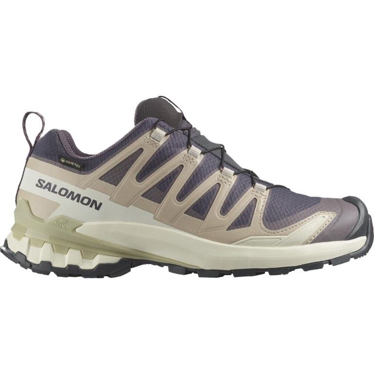 Salomon XA PRO 3D V9 GORE-TEX Lage Wandelschoen Dames Nine Iron/Oxford Tan/Alfalfa 8