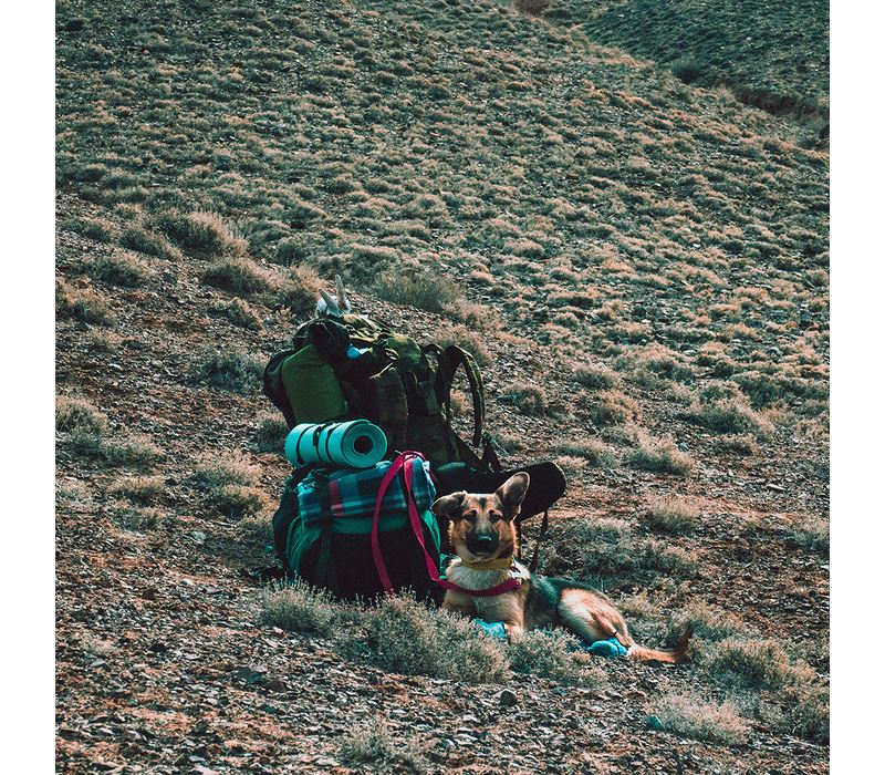 Super Compact Blanket Deken Slaapzak Orange