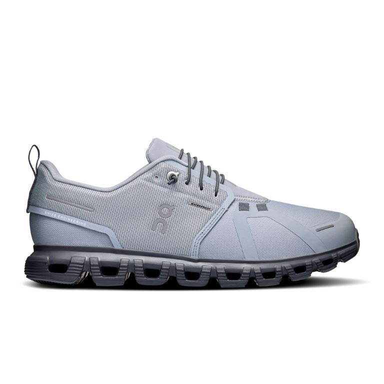 ON Cloud 6 Waterproof Lage Wandelschoen Heren Alloy | Wolf 42