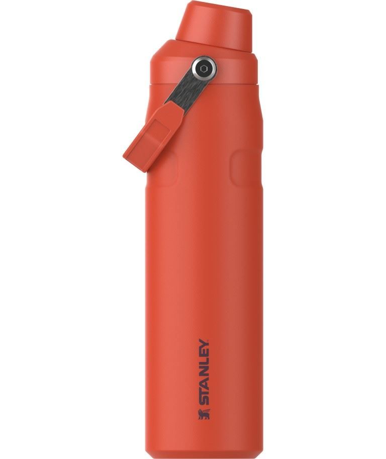 The Aerolight™ Iceflow™ Water Bottle Fast Flow 0.6L / 20oz Thermosfles Tigerlily Plum 600ML Soellaart.nl