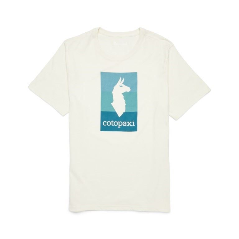 Llama Block T-shirt Heren Soellaart.nl