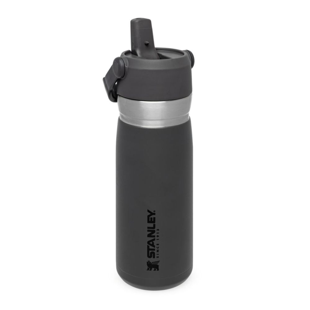 The Iceflow Flip Straw Water Bottle .65L / 22Oz Drinkfles Soellaart.nl