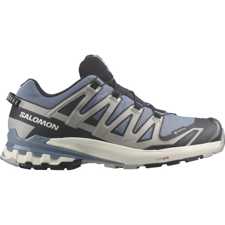 Salomon Xa Pro 3D V9 Gtx Lage Wandelschoen Heren Flint Stone/Black/Ghost Grey 9,5 (44)