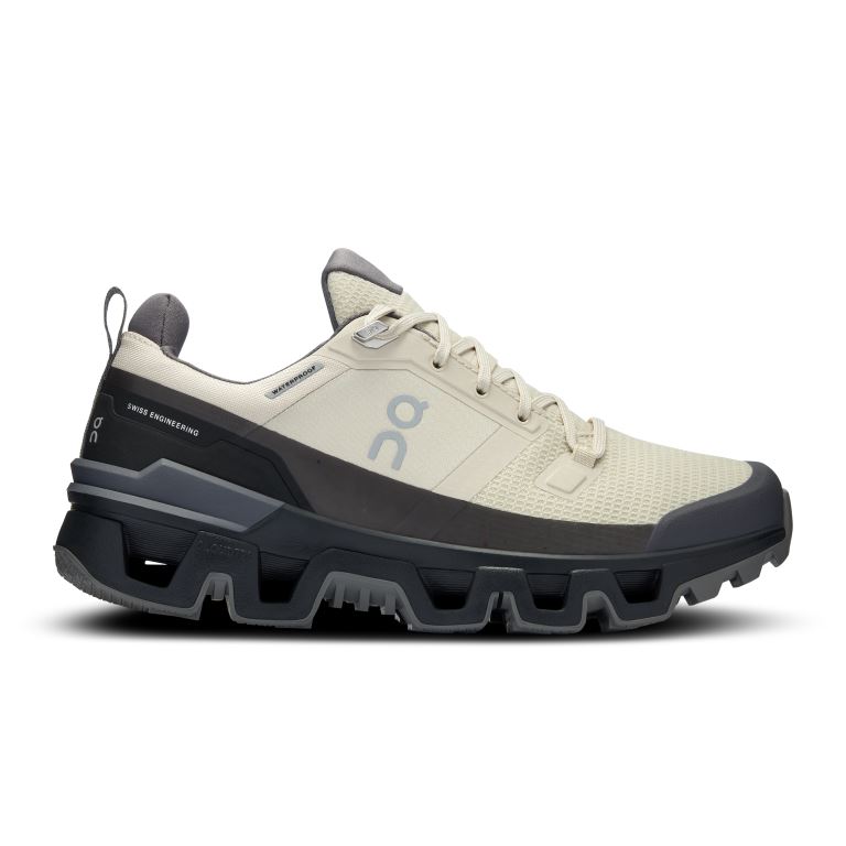 ON Cloudwander Waterproof Lage Wandelschoen Dames Sand | Black 38,5