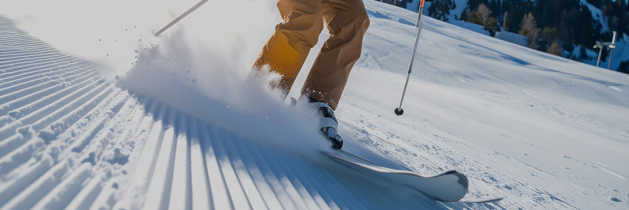 Ski's kopen online bij Soellaart Ski's online Soellaart